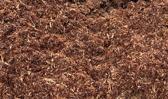 A close-up of pine mulch.